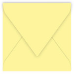 Pollen - 20 enveloppes carrées 16.5 x 16.5 cm - Canari