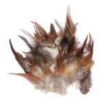 Plume de coq brun foncé 10 - 15 cm