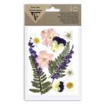 Fleur pressée assortiment Multicolore 12 pcs